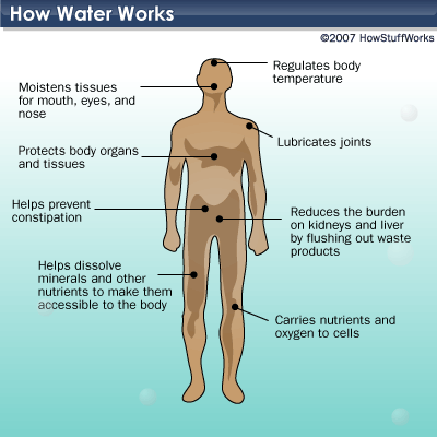 h2o-6 (1)